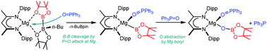 Graphical abstract: Diborane heterolysis and P(v) reduction by Ph3P [[double bond, length as m-dash]] O coordination to magnesium