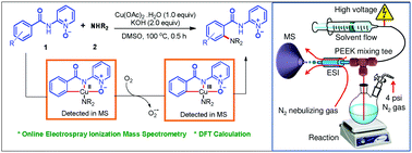 Graphical abstract: Mechanistic insights of Cu(ii)-mediated ortho-C–H amination of arenes by capturing fleeting intermediates and theoretical calculations