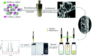 Graphical abstract: Mesoporous graphitic carbon nitride@NiCo2O4 nanocomposite as a solid phase microextraction coating for sensitive determination of environmental pollutants in human serum samples
