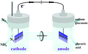 Graphical abstract: Boosting electrocatalytic nitrogen fixation via energy-efficient anodic oxidation of sodium gluconate