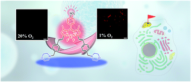 Graphical abstract: Lysosome-targeting turn-on red/NIR BODIPY probes for imaging hypoxic cells