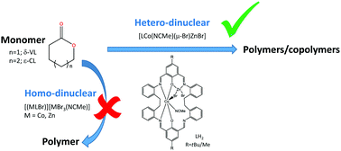 Graphical abstract: Turning on ROP activity in a bimetallic Co/Zn complex supported by a [2+2] Schiff-base macrocycle