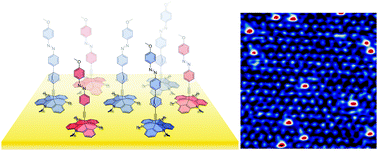 Graphical abstract: Molecular platforms as versatile building blocks for multifunctional photoswitchable surfaces