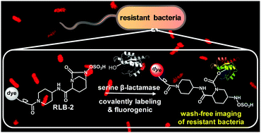 Graphical abstract: Highly selective and wash-free visualization of resistant bacteria with a relebactam-derived fluorogenic probe