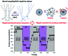 Graphical abstract: Accelerated recombination of lophyl radicals and control of the surface tension with amphiphilic lophine dimers