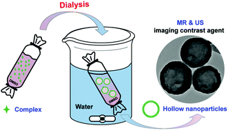 Graphical abstract: Facile one-step dialysis strategy for fabrication of hollow complex nanoparticles