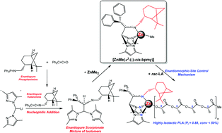 Graphical abstract: Synthesis of an enantiopure scorpionate ligand by a nucleophilic addition to a ketenimine and a zinc initiator for the isoselective ROP of rac-lactide