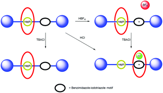 Graphical abstract: Anion and pH dependent molecular motion by a halogen bonding [2]rotaxane