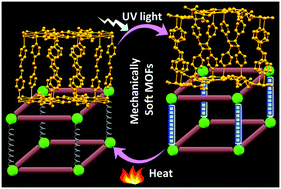 Graphical abstract: A reversible photochemical solid-state transformation in an interpenetrated 3D metal–organic framework with mechanical softness