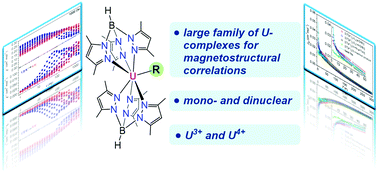 Graphical abstract: Excited-state effects on magnetic properties of U(iii) and U(iv) pyrazolylborate complexes