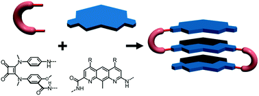 Graphical abstract: Aromatic β-sheet foldamers based on tertiary squaramides