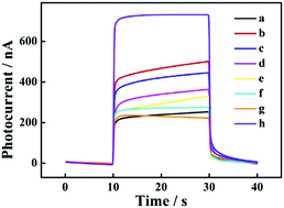 Graphical abstract: A zirconium-based metal–organic framework sensitized by thioflavin-T for sensitive photoelectrochemical detection of C-reactive protein