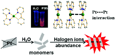 Graphical abstract: A halogen ion-selective phosphorescence turn-on probe based on induction of Pt–Pt interactions