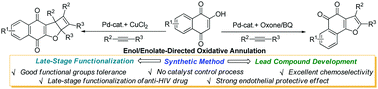 Graphical abstract: Palladium-catalyzed enol/enolate directed oxidative annulation: functionalized naphthofuroquinone synthesis and bioactivity evaluation