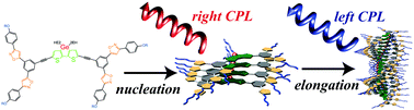 Graphical abstract: Helical assembly of a dithienogermole exhibiting switchable circularly polarized luminescence