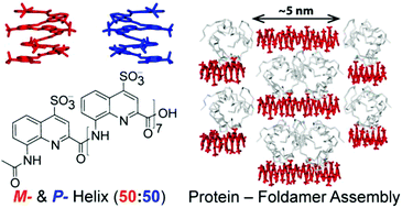 Graphical abstract: Crystal structure of a protein–aromatic foldamer composite: macromolecular chiral resolution