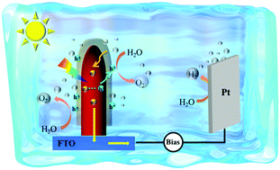 Graphical abstract: Hematite nanorod arrays top-decorated with an MIL-101 layer for photoelectrochemical water oxidation