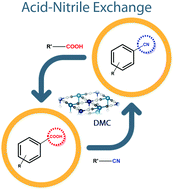 Graphical abstract: Double metal cyanides as heterogeneous Lewis acid catalysts for nitrile synthesis via acid-nitrile exchange reactions