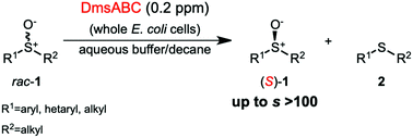 Graphical abstract: Enzymatic kinetic resolution of chiral sulfoxides – an enantiocomplementary approach