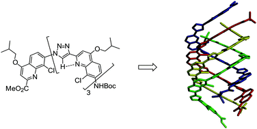 Graphical abstract: Quadruple hybridization of quinoline–triazole oligomers