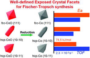 Graphical abstract: Role of well-defined cobalt crystal facets in Fischer–Tropsch synthesis: a combination of experimental and theoretical studies