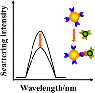 Graphical abstract: Plasmonic resonance energy transfer from a Au nanosphere to quantum dots at a single particle level and its homogenous immunoassay