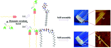 Graphical abstract: Chirality transfer based on dynamic covalent chemistry: from small chiral molecules to supramolecules