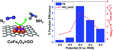 Graphical abstract: Synergistic bimetallic CoFe2O4 clusters supported on graphene for ambient electrocatalytic reduction of nitrogen to ammonia