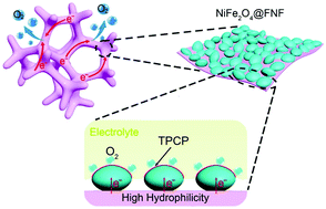 Graphical abstract: Self-supported nickel iron oxide nanospindles with high hydrophilicity for efficient oxygen evolution