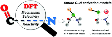 Graphical abstract: Computational studies on Ni-catalyzed amide C–N bond activation