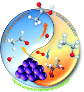 Graphical abstract: The catalytic and radical mechanism for ethanol oxidation to acetic acid