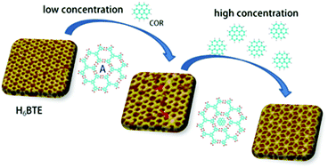 Graphical abstract: Self-assembled flower structures formed by C3-symmetric aromatic carboxylic acids with meta-carboxyl groups