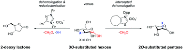 Graphical abstract: Intercepted dehomologation of aldoses by N-heterocyclic carbene catalysis – a novel transformation in carbohydrate chemistry