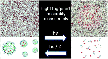 Graphical abstract: Photocontrolled self-assembly of azobenzene nanocontainers in water: light-triggered uptake and release of lipophilic molecules