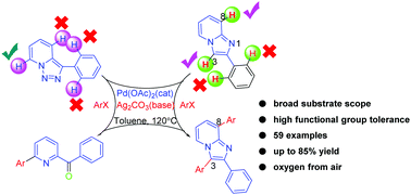 Graphical abstract: Pd-Catalyzed regioselective synthesis of 2,6-disubstituted pyridines through denitrogenation of pyridotriazoles and 3,8-diarylation of imidazo[1,2-a]pyridines
