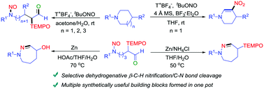 Graphical abstract: Selective synthesis of β-nitrated N-heterocycles and N-nitroso-2-alkoxyamine aldehydes from inactivated cyclic amines promoted by tBuONO and oxoammonium salt