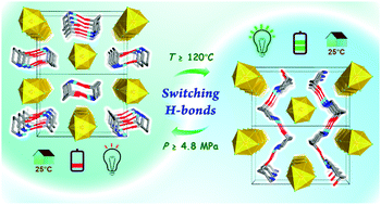 Graphical abstract: Switching hydrogen bonds to readily interconvert two room-temperature long-term stable crystalline polymorphs in chiral molecular perovskites