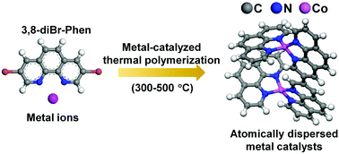 Graphical abstract: A metal-catalyzed thermal polymerization strategy toward atomically dispersed catalysts