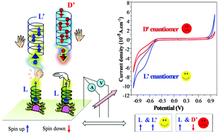 Graphical abstract: Enantiomer-selective sensing and the light response of chiral molecules coated with a persistent luminescent material