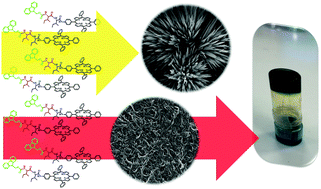 Graphical abstract: Self-assembly of aliphatic dipeptides coupled with porphyrin and BODIPY chromophores