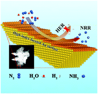 Graphical abstract: Synthesis of ammonia via electrochemical nitrogen reduction on high-index faceted Au nanoparticles with a high faradaic efficiency