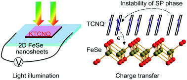 Graphical abstract: Correlation at two-dimensional charge-transfer FeSe interface