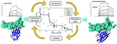 Graphical abstract: A consensus protocol for the in silico optimisation of antibody fragments