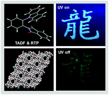 Graphical abstract: Phthalimide-based “D–N–A” emitters with thermally activated delayed fluorescence and isomer-dependent room-temperature phosphorescence properties