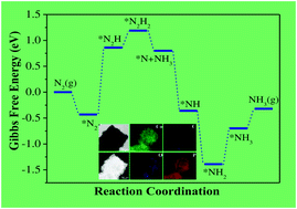 Graphical abstract: A pyrolysis–phosphorization approach to fabricate carbon nanotubes with embedded CoP nanoparticles for ambient electrosynthesis of ammonia