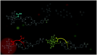 Graphical abstract: A low-molecular-weight ditopic MRI probe for ratiometric sensing of zwitterionic amino acid neurotransmitters