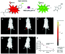 Graphical abstract: Rational modulation of coumarin–hemicyanine platform based on OH substitution for higher selective detection of hypochlorite