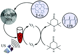 Graphical abstract: Corroles and corrole/transferrin nanoconjugates as candidates for sonodynamic therapy