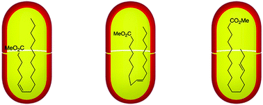 Graphical abstract: Molecular protection of fatty acid methyl esters within a supramolecular capsule