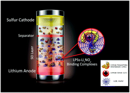 Graphical abstract: Insight into the effect of additives widely used in lithium–sulfur batteries